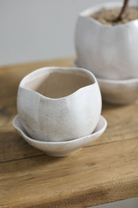 Design Shop Iona Pot with Saucer 7.25"x 6.5"