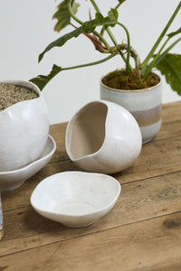 Design Shop Iona Pot with Saucer 7.25"x 6.5"