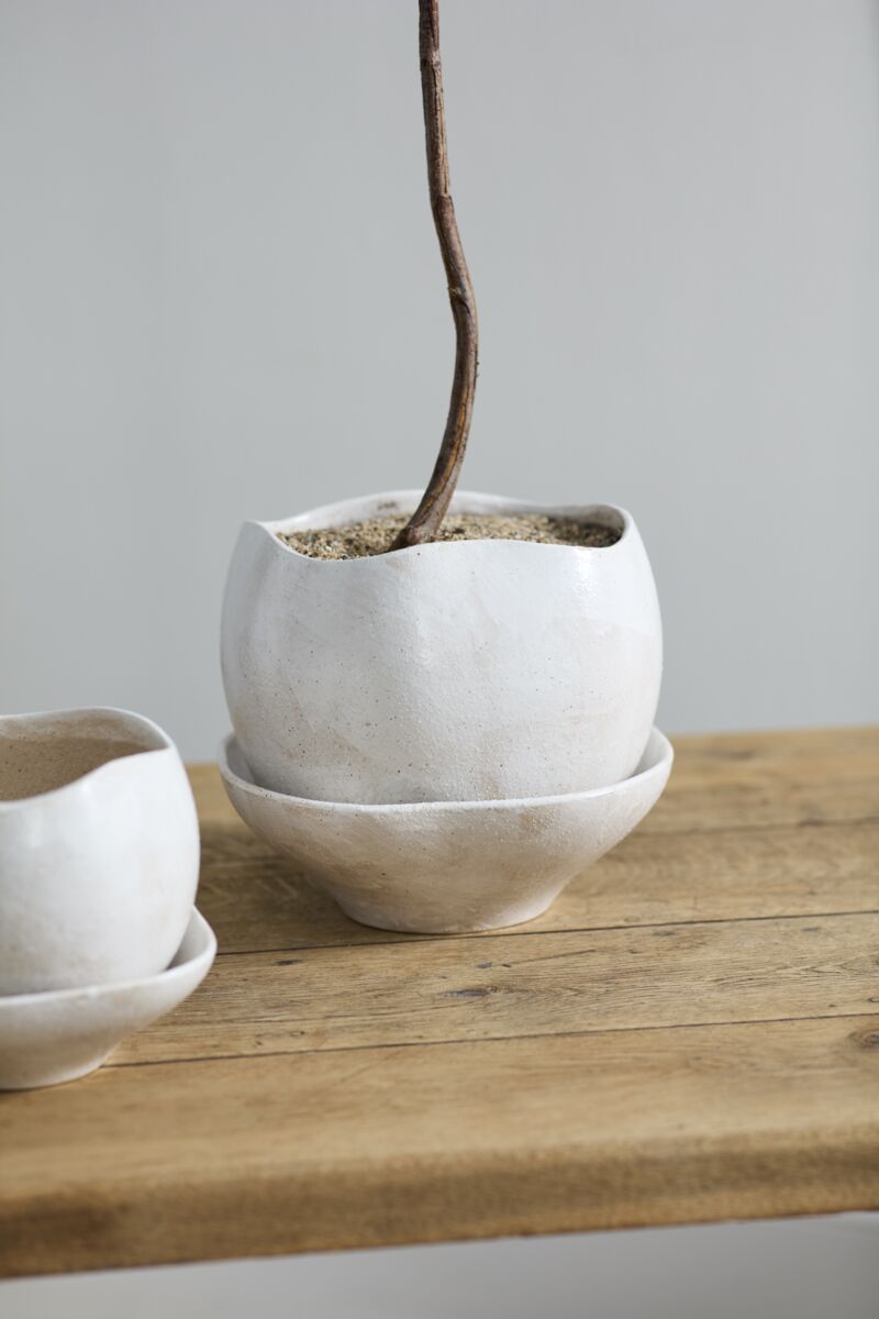 Design Shop Iona Pot with Saucer 10.25"x 9"