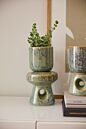 Design Shop Elysian Pot 6.5"x 11.5"