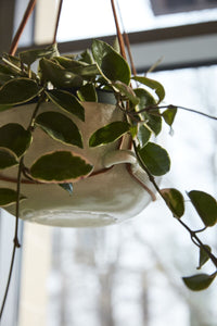 Design Shop White Redondo Hanging Pot, 9.25" X 21".