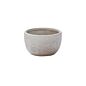 Design Shop Lottie Bowl 4.25"x 2.5", Set of 2