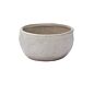 Design Shop Lottie Bowl 6"x 3", Set of 2