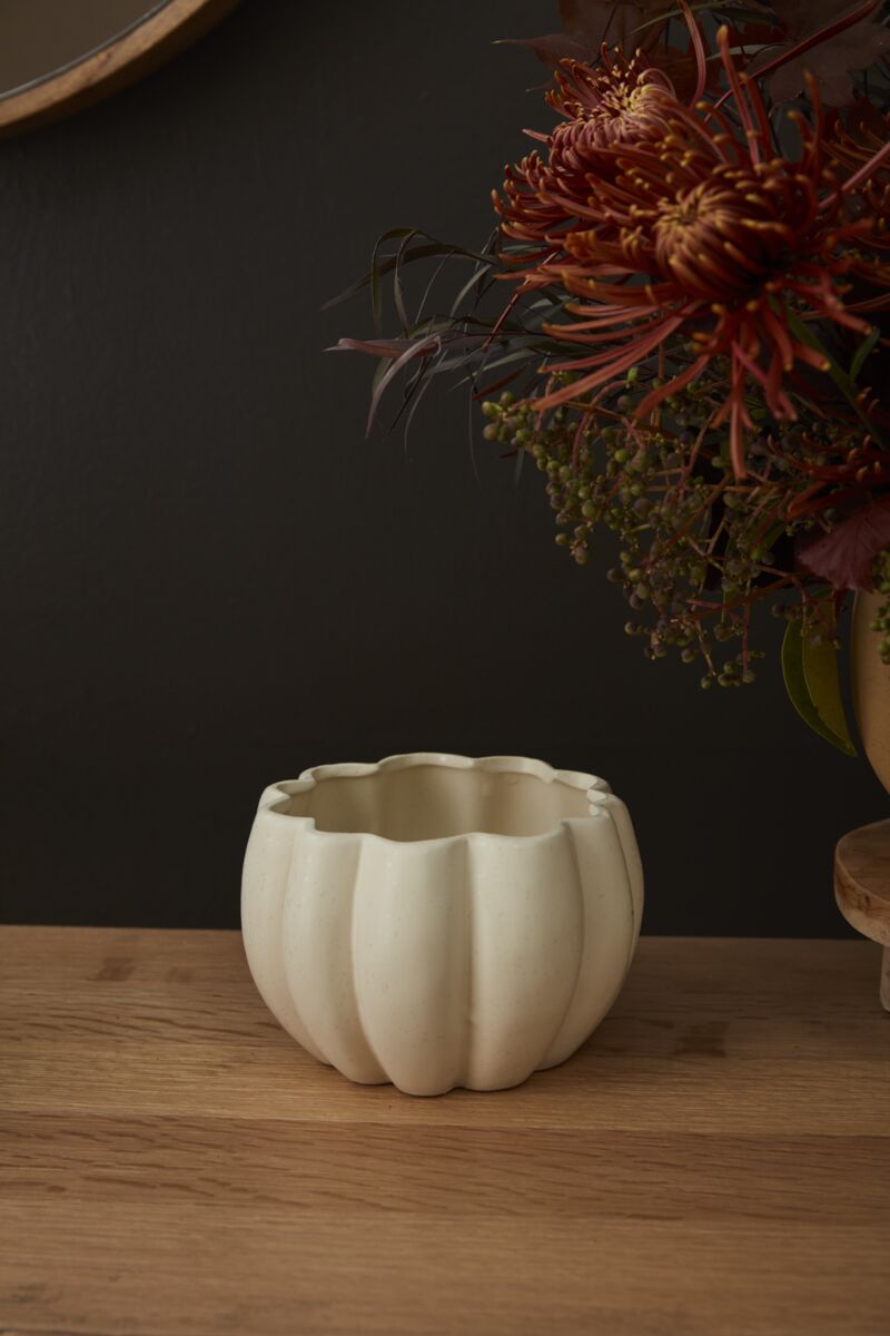 Design Shop Spiced Pumpkin Pot 5.75"x 4.25", Set of 4