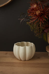 Design Shop Spiced Pumpkin Pot 5.75"x 4.25", Set of 4