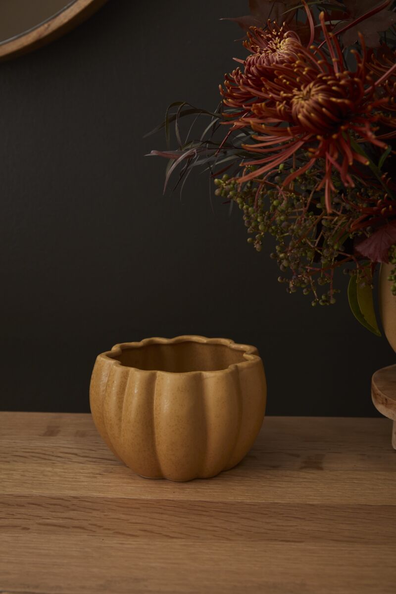 Design Shop Spiced Pumpkin Pot 5.75"x 4.25", Set of 4