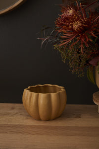 Design Shop Spiced Pumpkin Pot 5.75"x 4.25", Set of 4