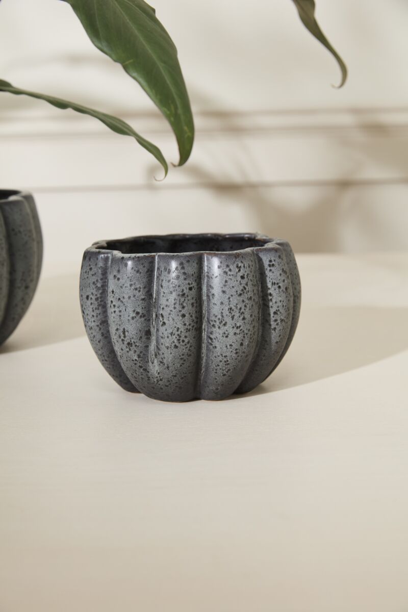 Design Shop Spiced Pumpkin Pot 5.75"x 4.25"