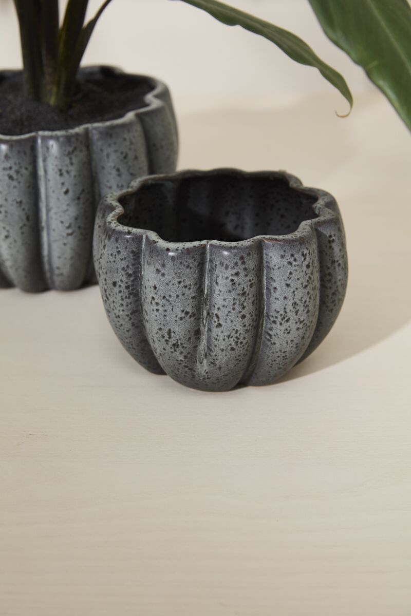 Design Shop Spiced Pumpkin Pot 5.75"x 4.25"