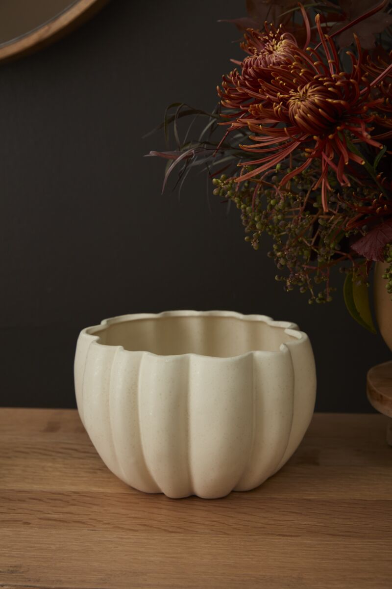 Design Shop Spiced Pumpkin Pot 8.25"x 5", Set of 2
