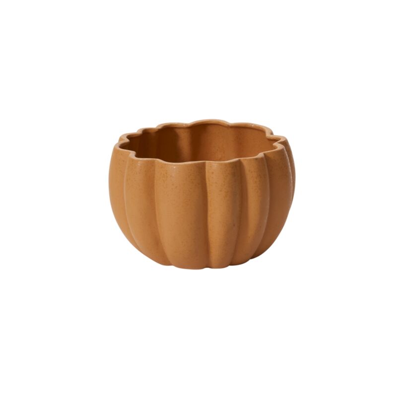 Design Shop Spiced Pumpkin Pot 8.25"x 5", Set of 2