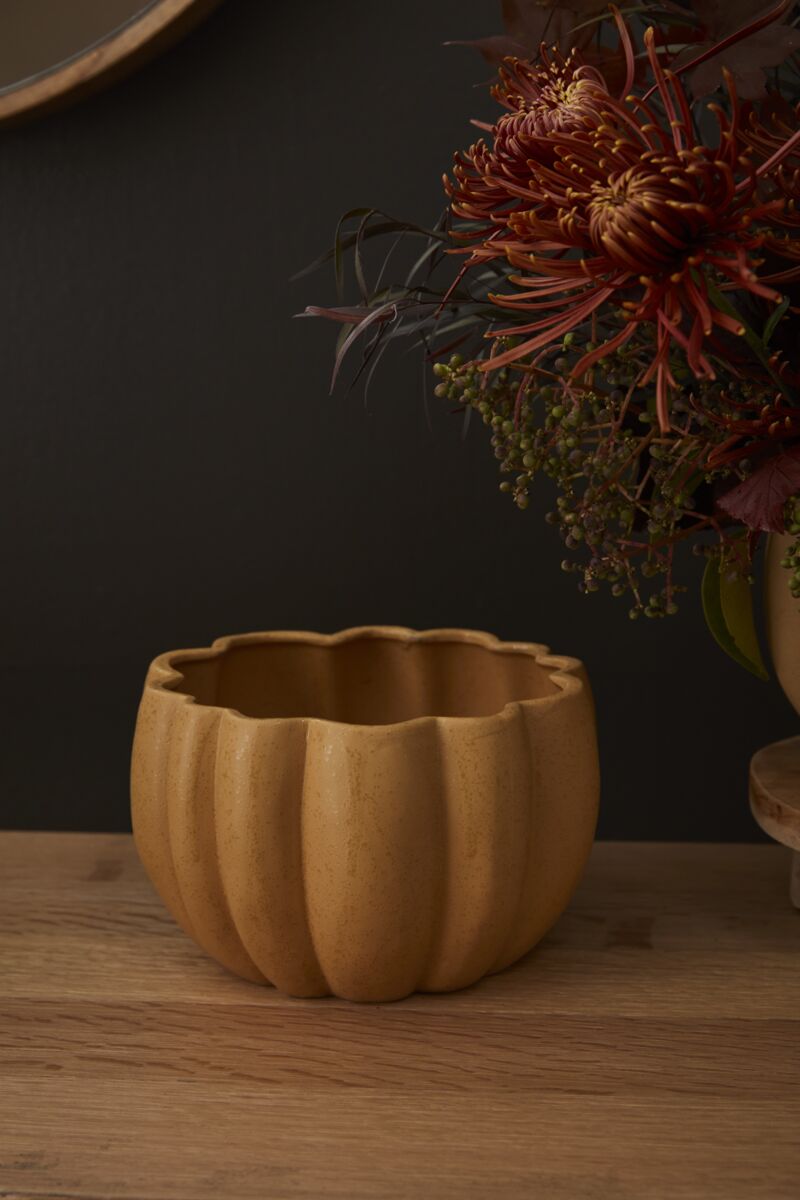 Design Shop Spiced Pumpkin Pot 8.25"x 5", Set of 2