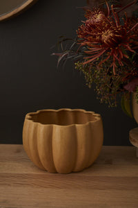 Design Shop Spiced Pumpkin Pot 8.25"x 5", Set of 2