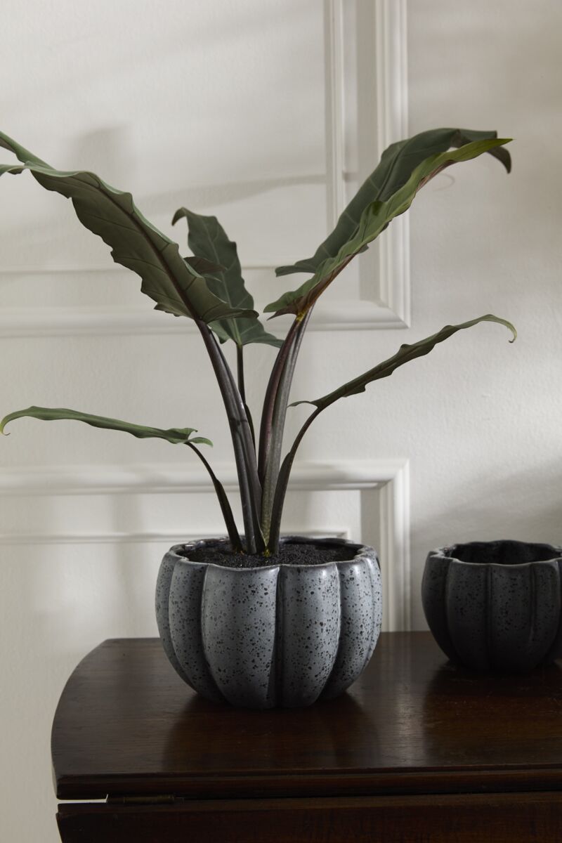Design Shop Spiced Pumpkin Pot 8.25"x 5"
