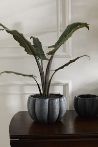 Design Shop Spiced Pumpkin Pot 8.25"x 5"