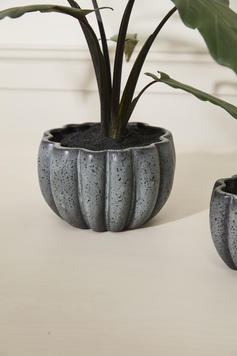 Design Shop Spiced Pumpkin Pot 8.25"x 5"