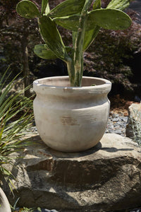 Design Shop Terracotta Balos Planter, 15" X 12.75".