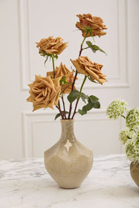 Design Shop Whitman Budvase 6"x 8.5"