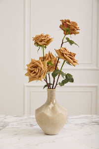 Design Shop Whitman Budvase 6"x 8.5"