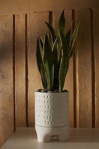 Design Shop White Dache Pot, 6.75" X 9.5".