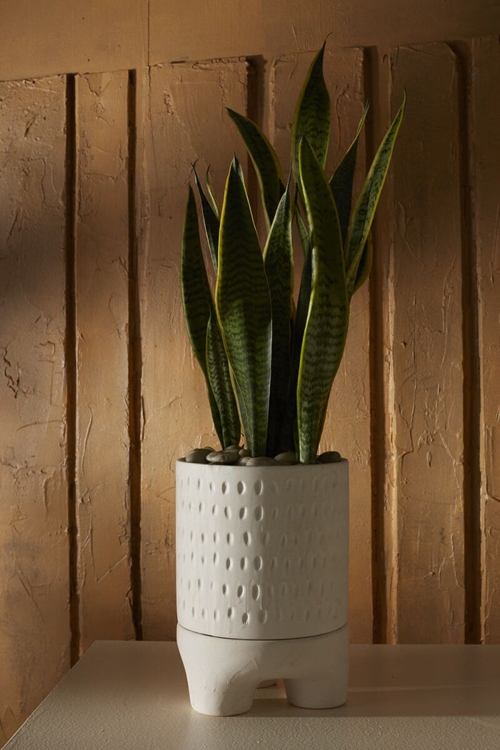 Design Shop White Dache Pot, 6.75" X 9.5".