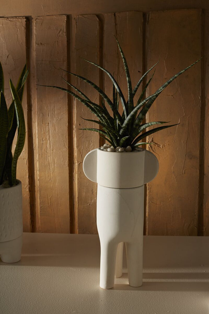Design Shop White Dache Pot, 8" X 15".