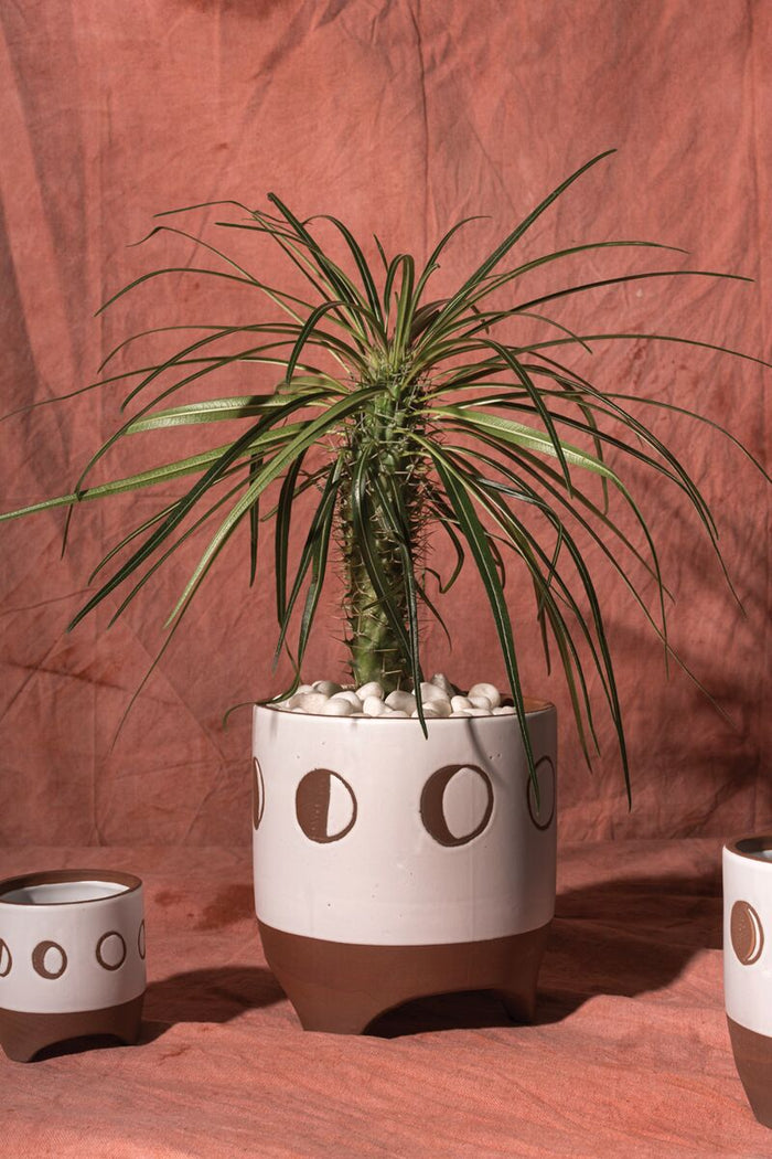 Design Shop Terracotta Solar Footed Pot, 7.5" X 7.75".