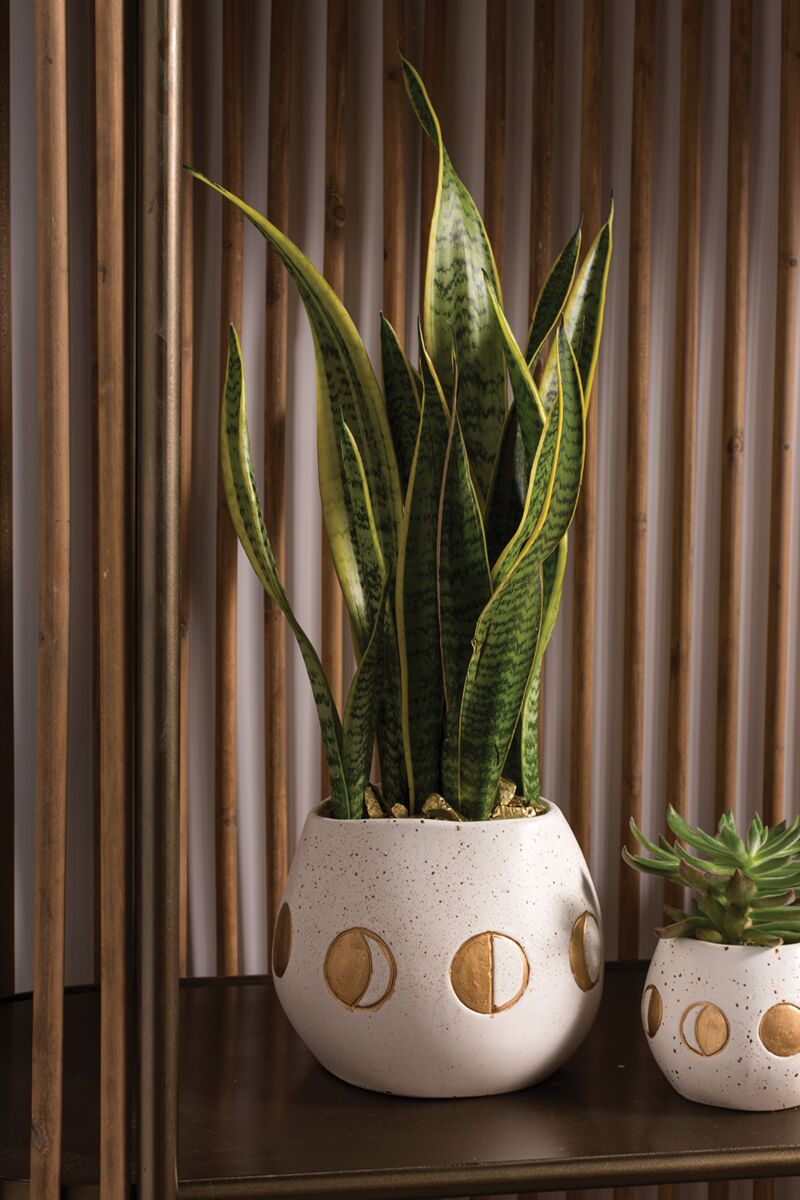 Design Shop Off-White Wonder Pot Sale, 7.75" X 6.25".