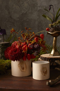 Design Shop Gold Agro Pot, 3.75" X 3.25", Set of 2.