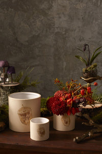 Design Shop Gold Agro Pot, 3.75" X 3.25", Set of 2.