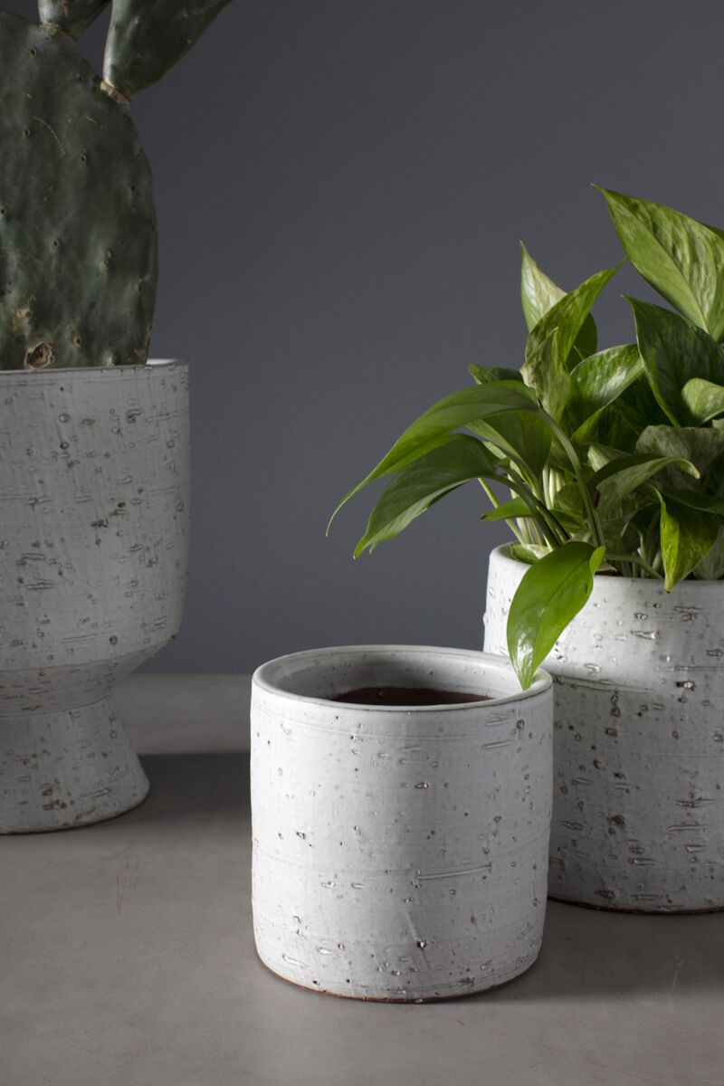 Design Shop White Adelhart Collection Pot, 5.5" X 5.25".