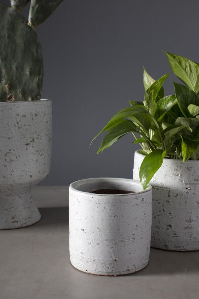 Design Shop White Adelhart Collection Pot, 5.5" X 5.25".