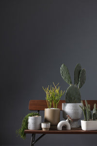 Design Shop White Adelhart Collection Pot, 5.5" X 5.25".