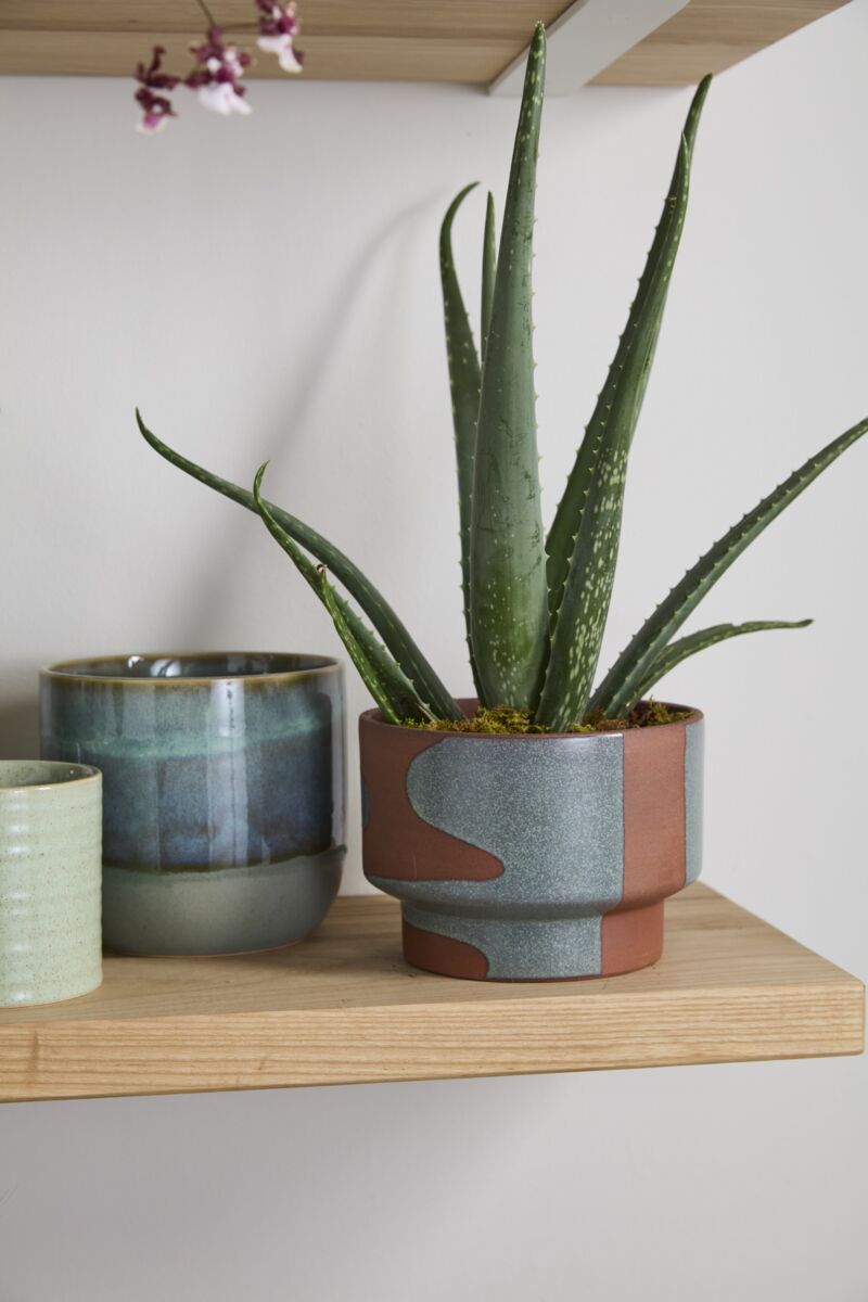 Design Shop Shanti Pot 7"x 5.25"