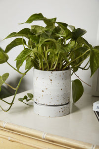 Design Shop Grey La Jolla Pot, 5" X 6".