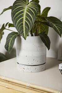 Design Shop Grey La Jolla Pot, 6.5" X 7.5".