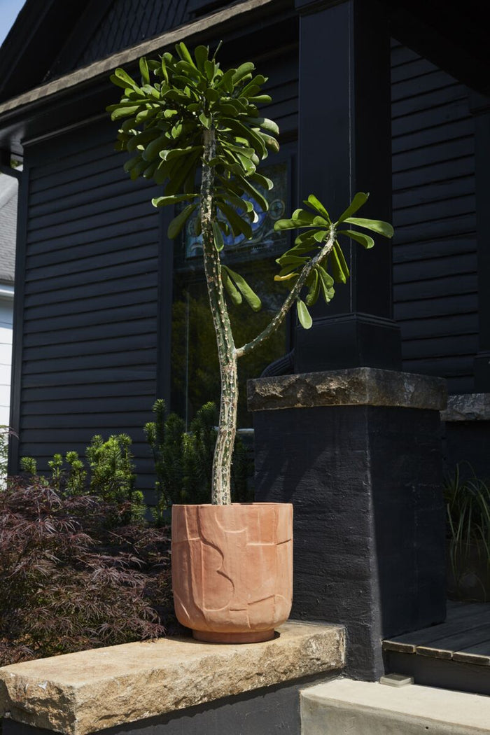 Design Shop Stratford Planter 16"x 17.25"