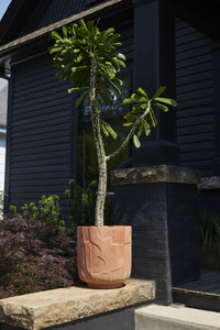 Design Shop Stratford Planter 16"x 17.25"