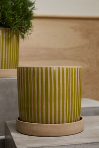 Design Shop Green Sullivan Pot with Saucer, 10" X 9.5"