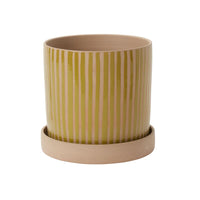 Design Shop Green Sullivan Pot with Saucer, 11.25" X 10.5"