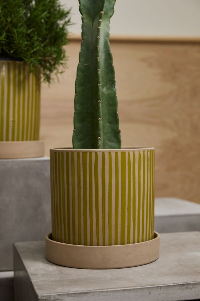 Design Shop Green Sullivan Pot with Saucer, 11.25" X 10.5"