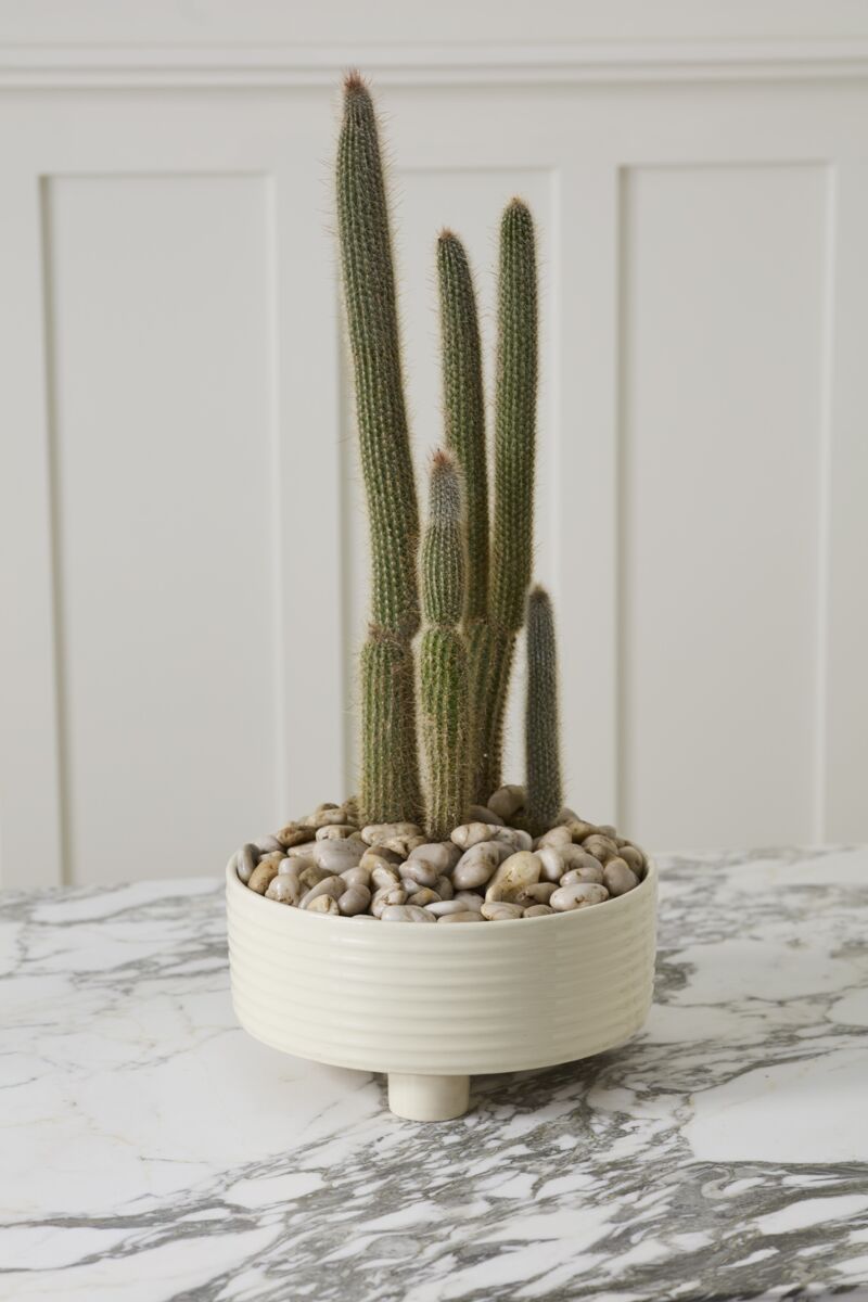 Design Shop Hailey Footed Bowl 12"x 5.5"