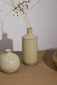 Design Shop Cove Budvase 3.5"x 8.75", Set of 2