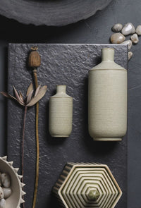 Design Shop Cove Budvase 3.5"x 8.75", Set of 2