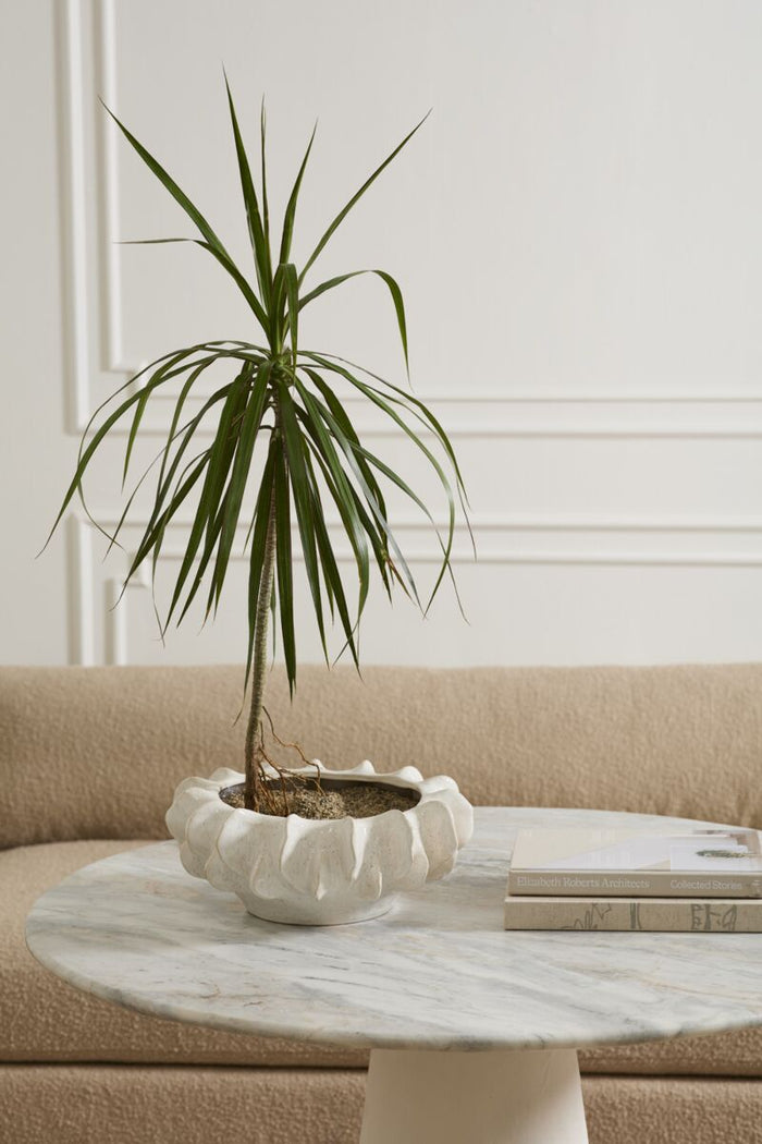Potted plant on a marble table with a beige sofa in the background