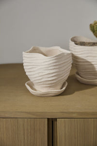 Design Shop Highland Pot with Saucer 6"x 5.5"x 5.25"