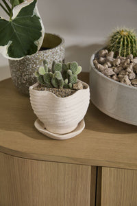 Design Shop Highland Pot with Saucer 6"x 5.5"x 5.25"