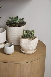 Design Shop Highland Pot with Saucer 6"x 5.5"x 5.25"