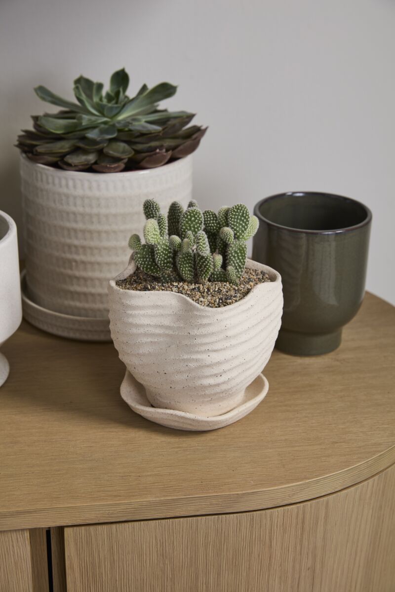 Design Shop Highland Pot with Saucer 6"x 5.5"x 5.25"