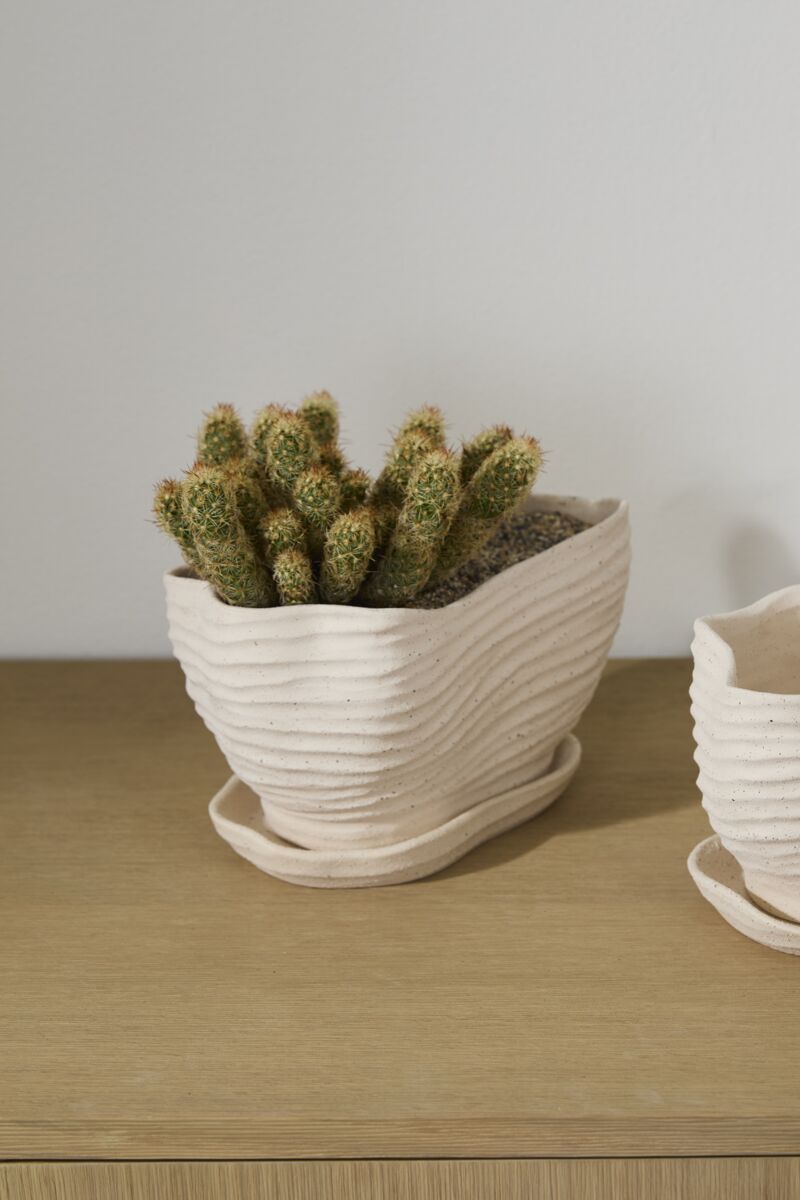 Design Shop Highland Pot with Saucer 9"x 6"x 6"